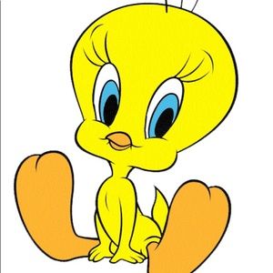 Meet your Posher, Brady